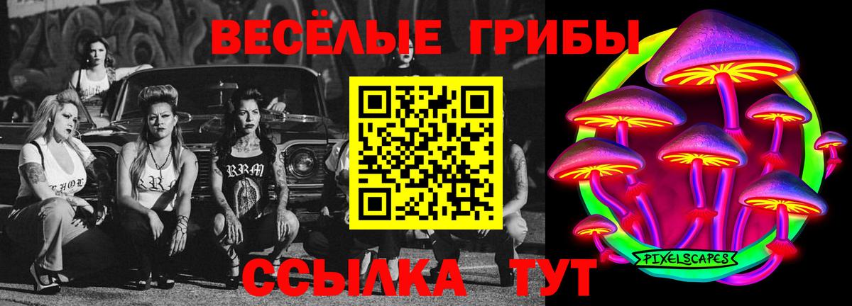 Губкин  Галлюциногенные грибы GOLDEN TEACHER  Вход с VPN 